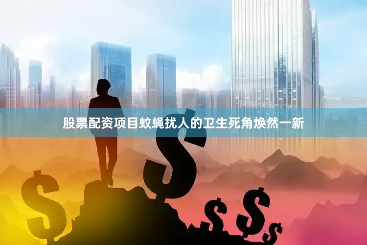 股票配资项目蚊蝇扰人的卫生死角焕然一新