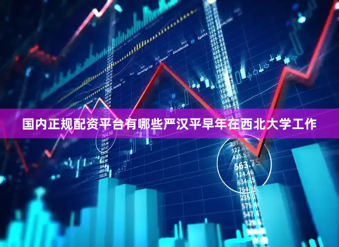国内正规配资平台有哪些严汉平早年在西北大学工作