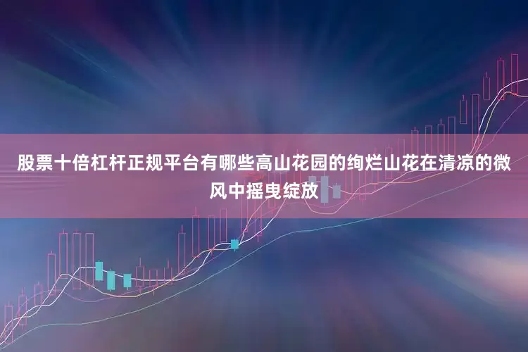 股票十倍杠杆正规平台有哪些高山花园的绚烂山花在清凉的微风中摇曳绽放