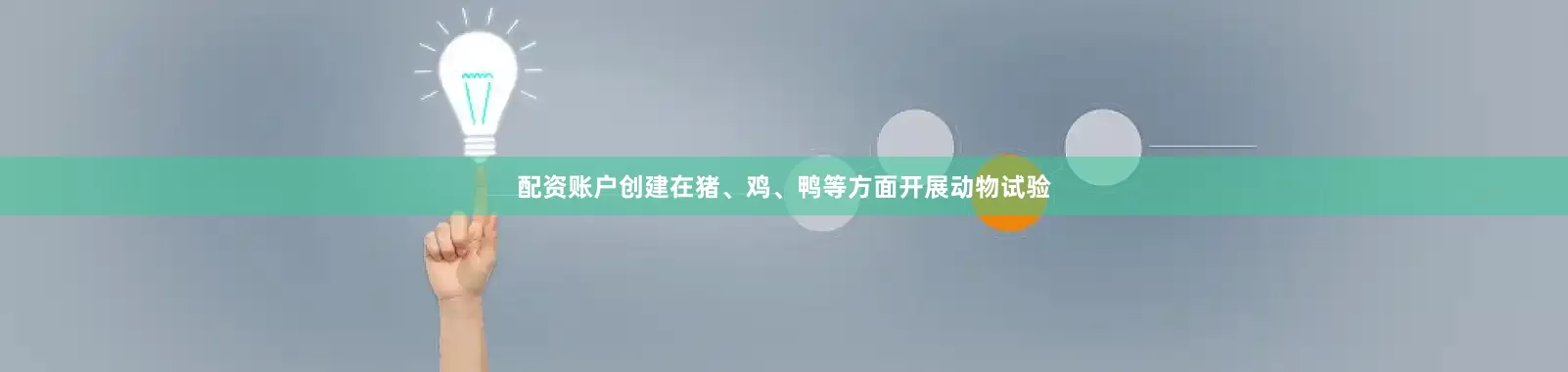 配资账户创建在猪、鸡、鸭等方面开展动物试验
